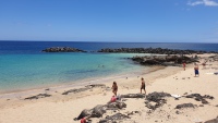 Playa del Jablillo in Costa Teguise.